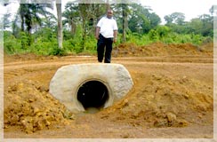Charles Davis, Asst Operations Mgr Liberia, on one of many culverts installed to make the new road year round accessible for drill rigs and equipment / Toto Range