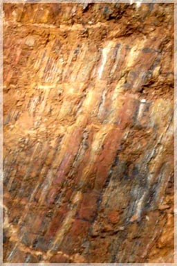 Mafic Schist host incalated with multiple small quartz veins / Belefuani Toto Range