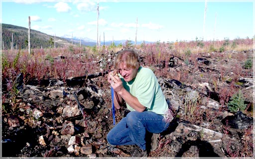 Len glassing molybdenum samples on the Big Buck open clearing