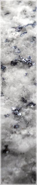 Blebs or rosettes of molybdenum on Mt Nelson