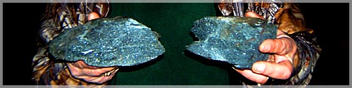 Quartz-Mica-Chlorite Schist on Bird Creek