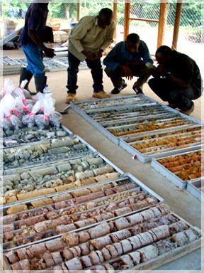 Geologists examining core prior to splitting and sending for assay / Mandingo Hill
