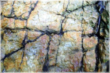 Sheared, foliated granitic gneiss host material / Mandingo Hill