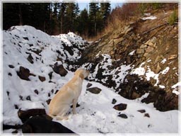 Watching over the north zone trench / Greenhorn