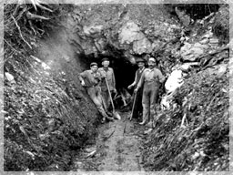 Tough old miners / King Solomon