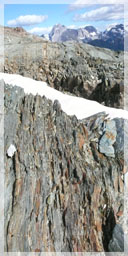 Orphir Altered Chloritic Schist