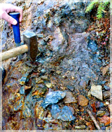 High silver, lead, zinc mineralization in the outcrop / Silver Lynx