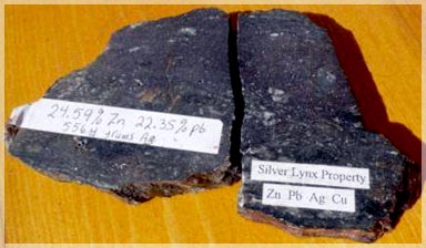 High grade cut sample from main outcrop area / Silver Lynx